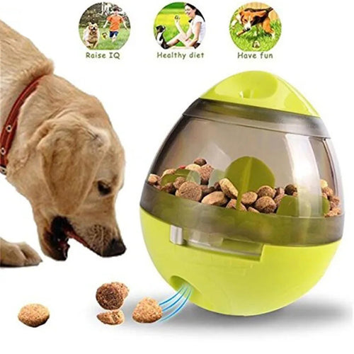 Dispensador IQ de Comida para Mascotas