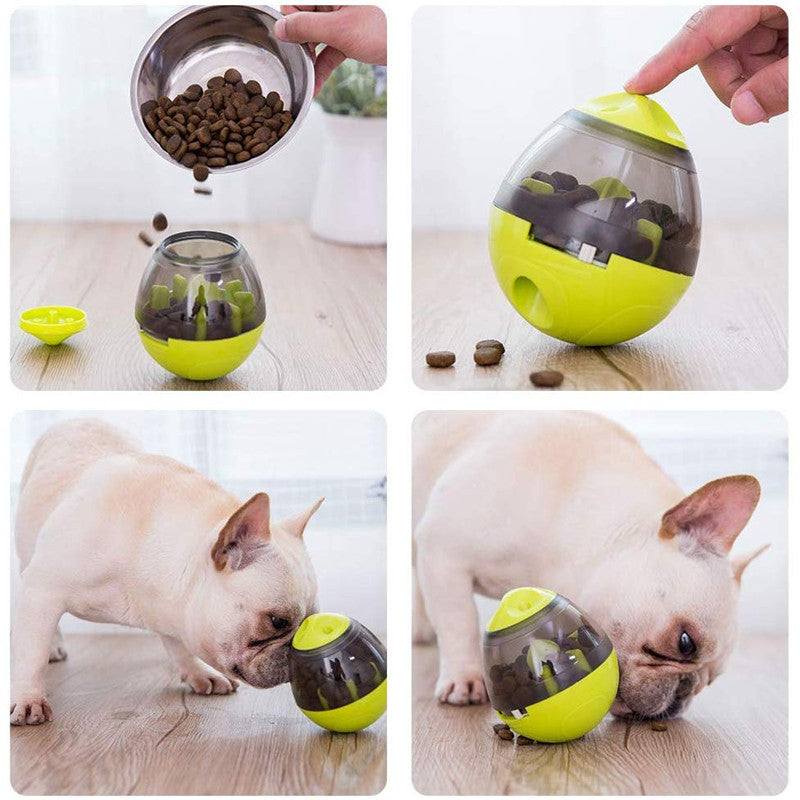 Dispensador IQ de Comida para Mascotas