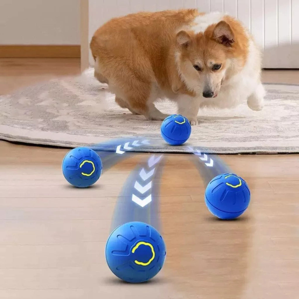 Pelota Interactiva LED para Perros y Gatos